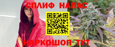 мяу мяу мука Будённовск