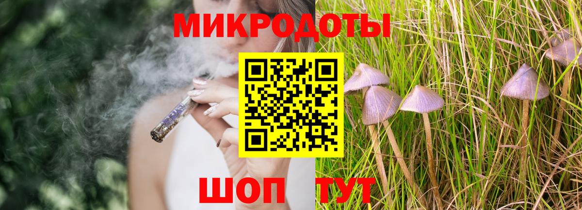 Галлюциногенные грибы прущие грибы Сальск