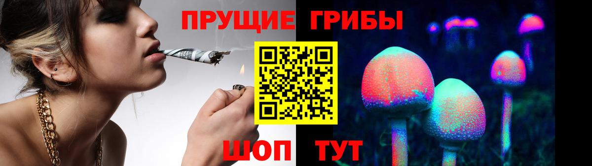 Псилоцибиновые грибы мицелий  Вход с VPN  Сальск 